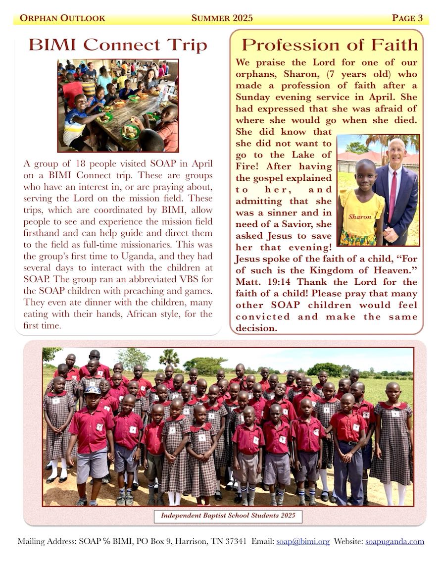 SOAP Orphan Outlook 2025 06 Reduced Size page 3